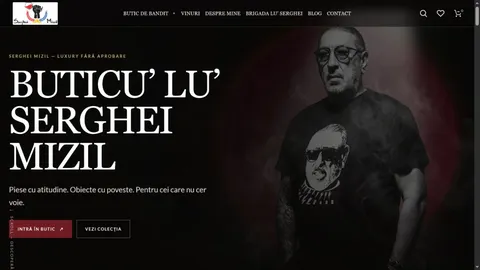 Captură din proiectul Serghei Mizil